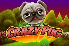 Crazy Pug