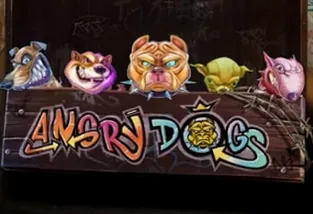 Angry Dogs